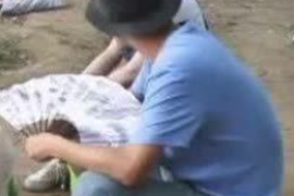 四川专业催债公司的市场需求和前景分析